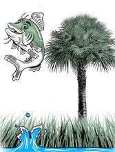 CatfishFest2016