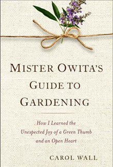 Mr.OwitasGuide