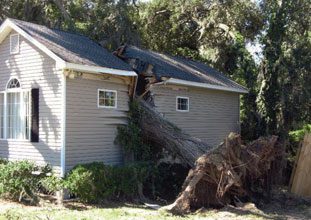 Trying to Reason with the Hurricane Season