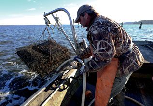 Frank-Roberts-Hauls-Oyster-Pot