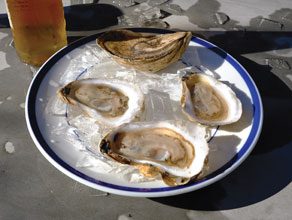 Oysters-on-a-Plate
