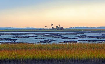 Loving AnneJennings Horse Island Vista