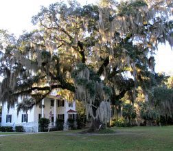 Authors Under the Live Oaks