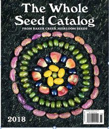 garden seed catalogue