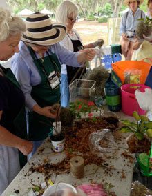 Lunch & Learn About Gardening