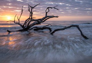 BAA Advanced Sunrise Driftwood Beach Bill Bogle