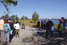 St Phillips Island JW Watches as Ranger Terry Conway Briefs the Tour