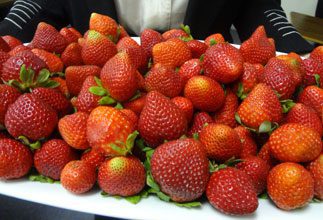 celebrate strawberries