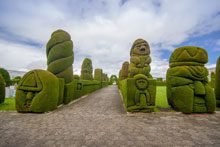 garden topiaries