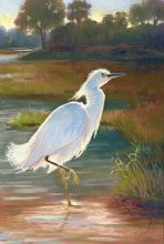 NAWA 2ndPlace Snowy Egret Judy Saylor McElynn 3346kb.jpg 2