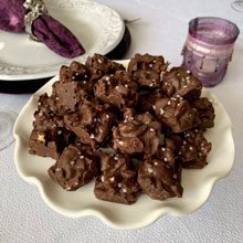 celebrate chocolate fruit bites