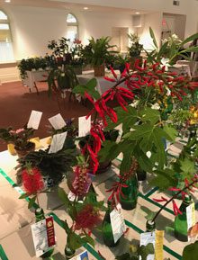 Lowcountry Living Horticulture Specialty Show