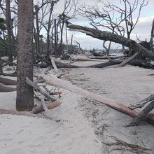 The Lost Magic of Hunting Island