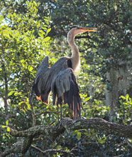 Photography Club of Beaufort Print Awards