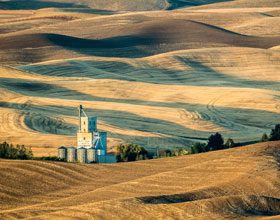Photo Sandy Dimke Shades of the Palouse Expert 1 of 1