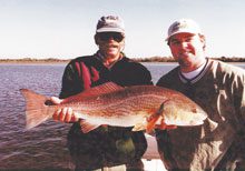 Fall Means Saltwater Fly Fishing