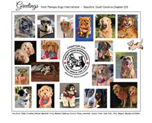 dogs TDI Chapter 229 collage of member dog portraits