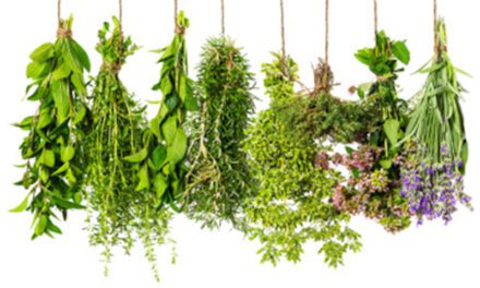 Do You Say Herbs or ‘Erbs?
