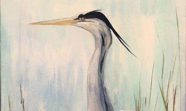 Going Wild in the Lowcountry