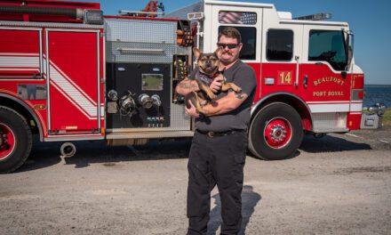 Firefighters & Therapy Dogs