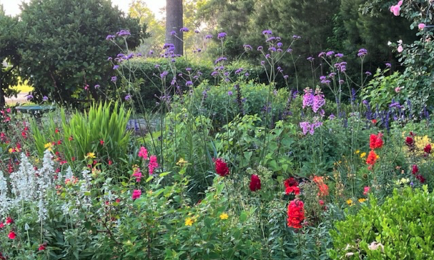 Hopefully Heralding a Happy Horticultural Year!