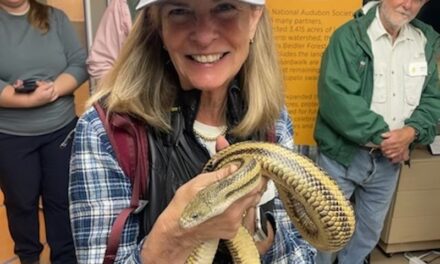 That Time I Went to Nature School