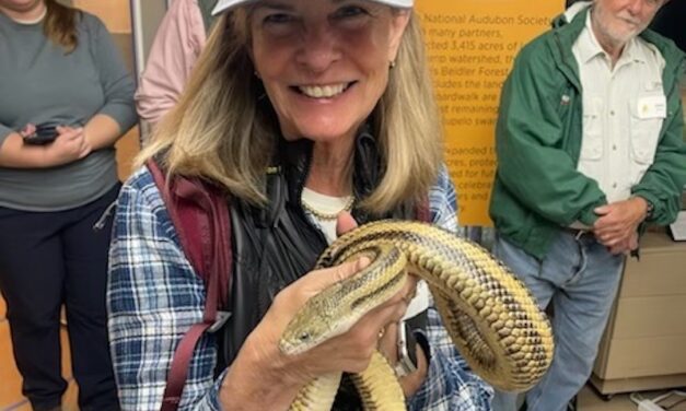 That Time I Went to Nature School