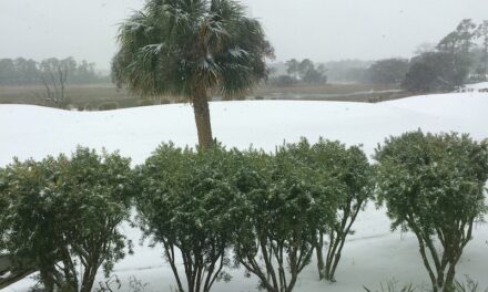 How to Survive a Polar Vortex