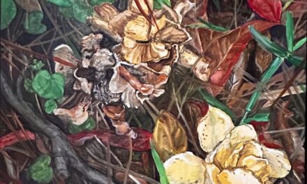 Beauty in Imperfection