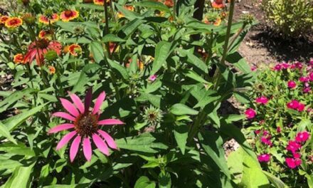 Let ‘s Keep It Simple