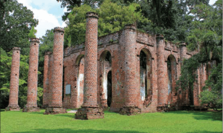 Celebrate and Help Preserve the Old Sheldon Ruins