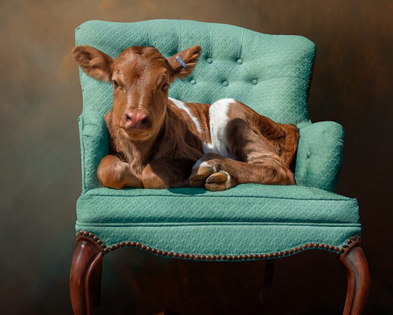 Top Artists Selected for National Juried Exhibit