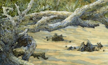 Biennale 2025 Winners Announced