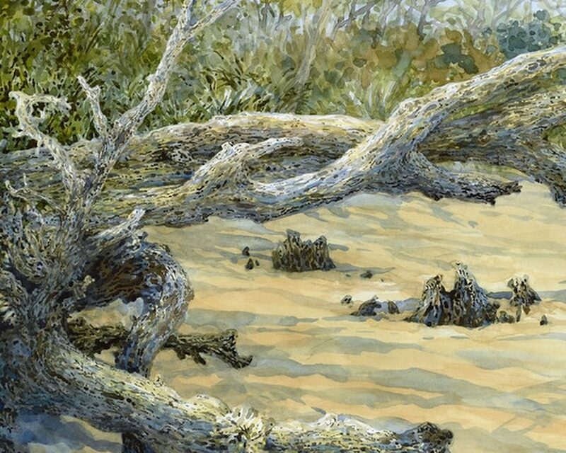 Biennale 2025 Winners Announced