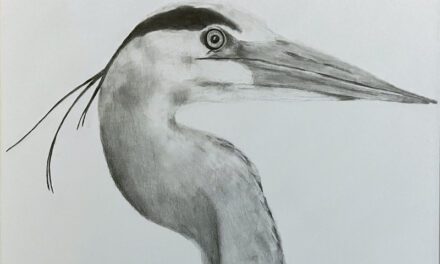 Grand Happenings Continue at La Petite Gallerie