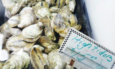 Sea Eagle Market & Beyond: Eat Local Seafood (part two)