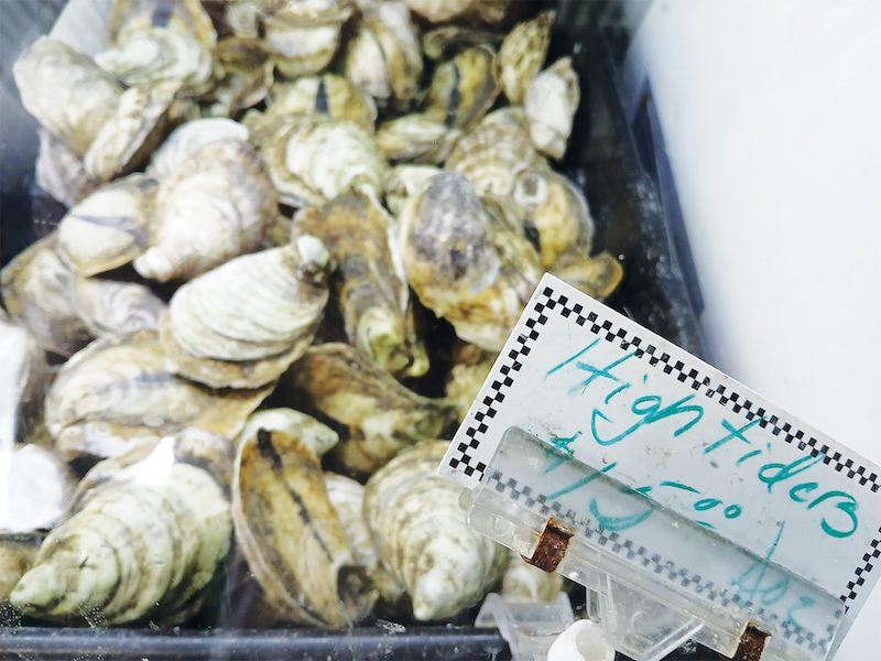 Sea Eagle Market & Beyond: Eat Local Seafood (part two)