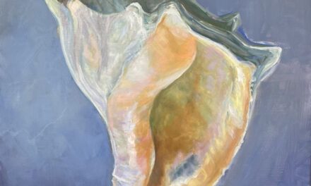 Beth Stern’s ‘Reflections’ at BAA Gallery