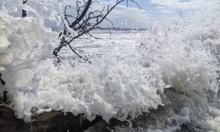 Waves Beyond the Water