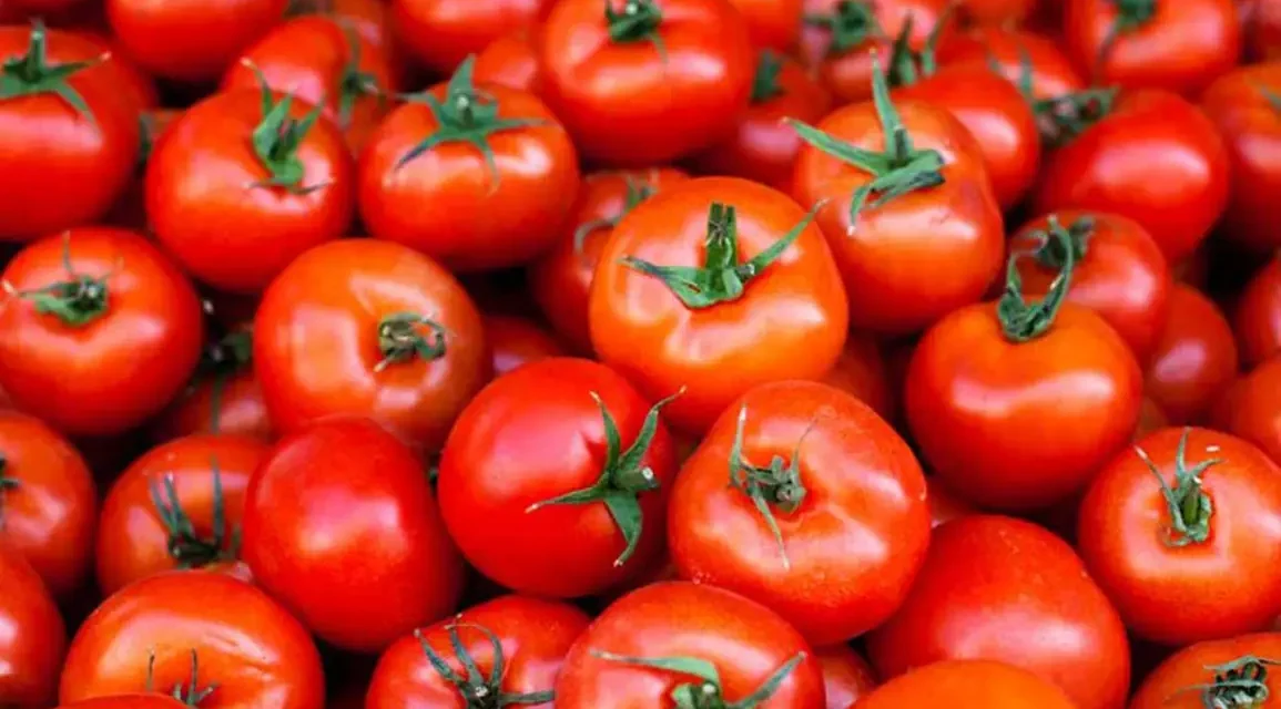 Tomatoes: A Fruit with an Identity Crisis