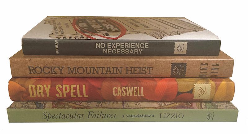 Traditional Publisher Open for Queries