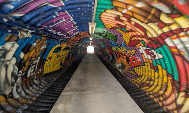 Tunnel Visionary