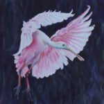 BAA Hosts All Member & Holiday Shows