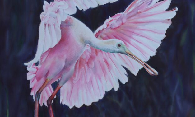 Holiday Show & More at Beaufort Art Association Gallery