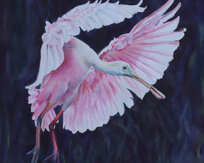 BAA Hosts All Member & Holiday Shows