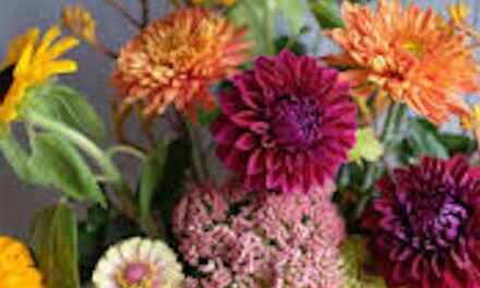 Baked Goods & Fall Flowers