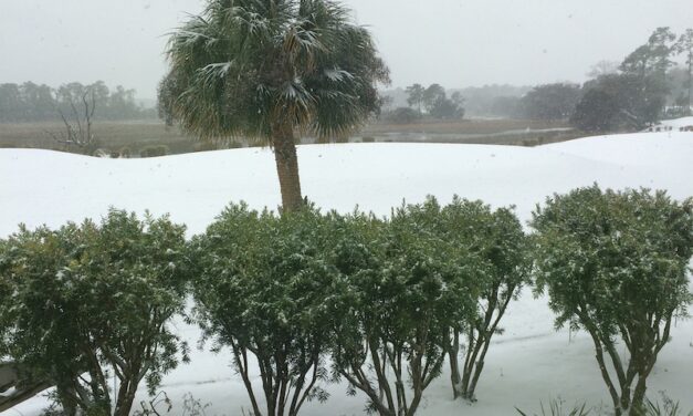 Too Many Hard Freezes!