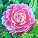 SOBA Launches Member Donated Art Exhibit