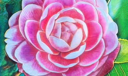 SOBA Launches Member Donated Art Exhibit