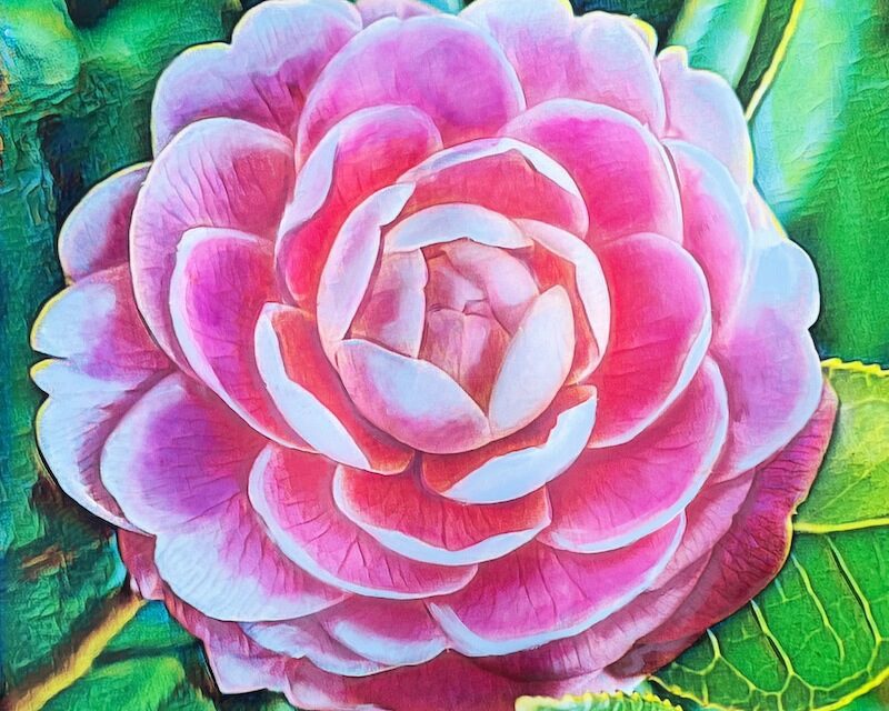 SOBA Launches Member Donated Art Exhibit